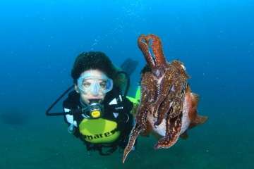 Instantánea ganadora de la categoría de Cámara Réflex, aportada por Arturo Telle y Davinia Hernández.